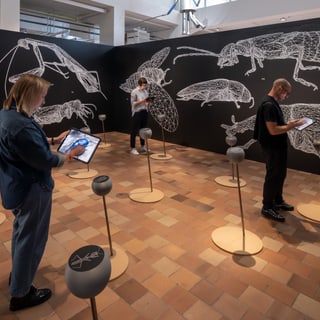 Personen in Ausstellung mit grossen Insektenzeichnungen und Tablets.
