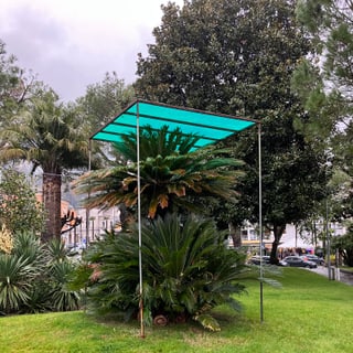 Palme mit grünem Schutzdach auf Rasenfläche im Park.