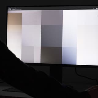 Person betrachtet Monitor mit Graustufen-Quadraten.