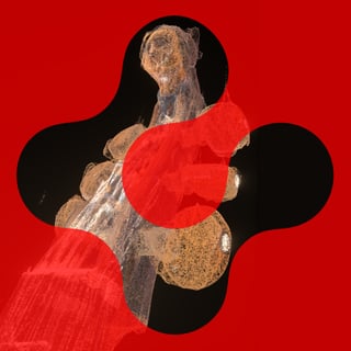 Abstrakte Kunst mit rotem Hintergrund und organischen Formen.