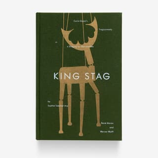 Book cover featuring a wooden stag marionette design.