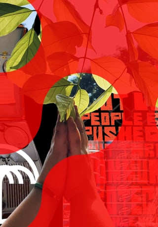 Abstraktes rotes Design mit Blättern und Text.