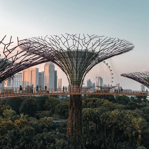Bäume aus Metall in einem Garten mit Stadt im Hintergrund bei Sonnenuntergang.