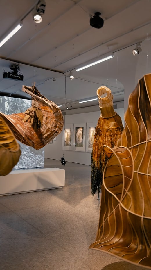 Header Bild von Video