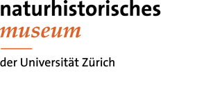 Logo with the word 'museum' in orange on black background.