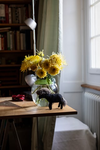 Gelbe Blumen in Vase auf Tisch neben Fensterbrett mit Stofftierpferd.