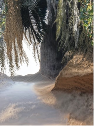 Verschmelzung von Wüstendünen und Bäumen mit Blättern und Sandsturm.