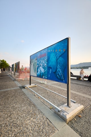 Freiluftausstellung mit Kunstwerken entlang des Sees.