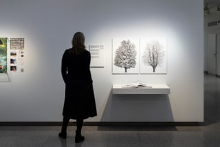 Frau betrachtet schwarz-weisse Baumkunst in Galerie.