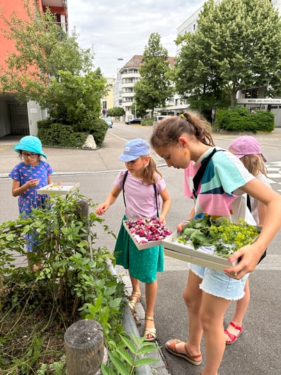 Kinder sammeln natürliche Farbstoffe.