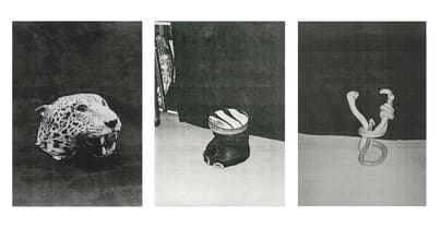 Drei Schwarz-Weiss-Fotografien