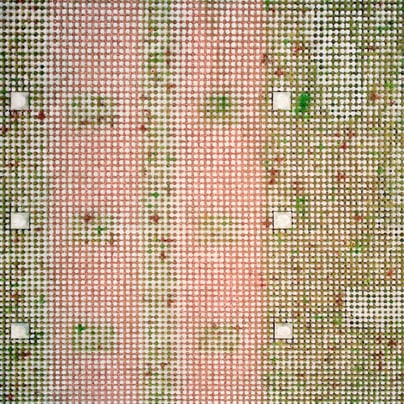 Luftaufnahme von gepflasterter Oberfläche mit Gras und Fliesen.