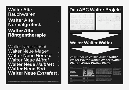 Typografie-Poster des Walter-Projekts mit Schriftartenstilen.",