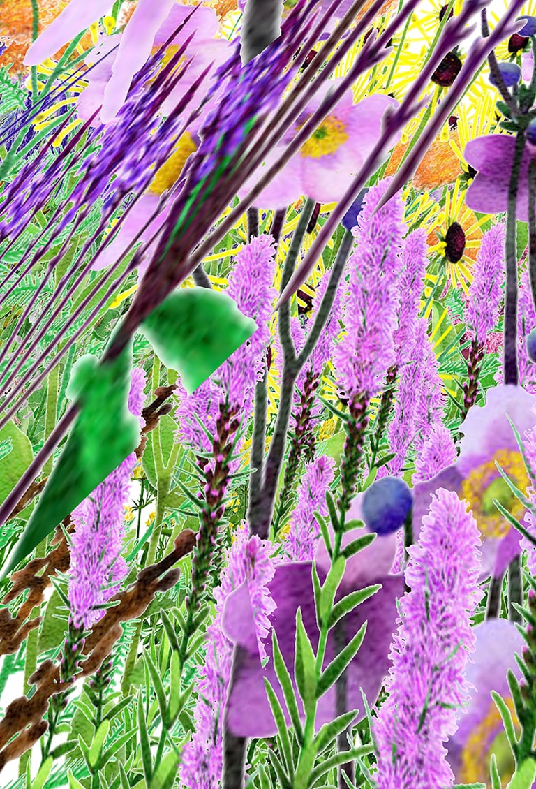 Pollinator Pathmaker: Perceptual Field 7SzzLn6GnY97-DSo7hCSLMf | Museum ...